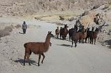 BOLIVIA 2 - Cordillera de Los Frailes - 43